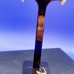 WhatsApp Image 2025-12-18 at 21.20.46 (1)