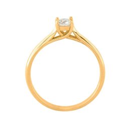 WhatsApp Image 2025-12-18 at 21.21.55