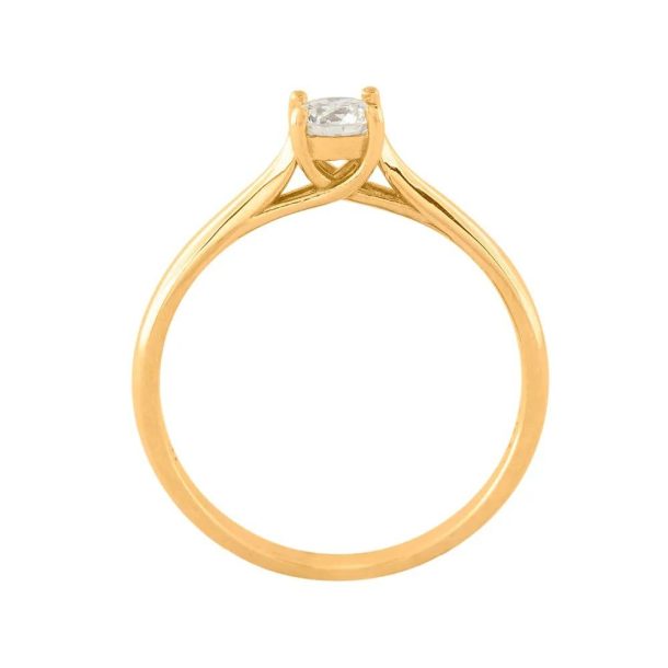 WhatsApp Image 2025-12-18 at 21.21.55