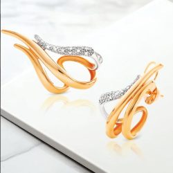 converted_image_jewelry