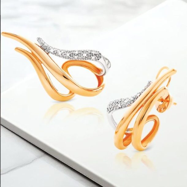 converted_image_jewelry