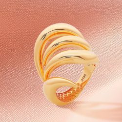 golden_curved_ring_image