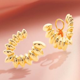 golden_spiral_earrings_image