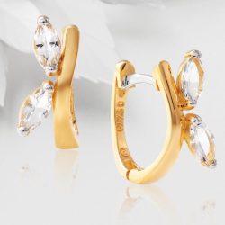 brinco_argola_ouro