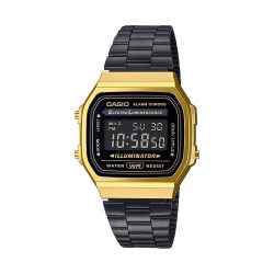 A168WEGB-1B_1
