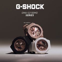 AF_GMA-S2100MD_POST