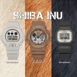 AF_SHIBA INU_POST2_BR