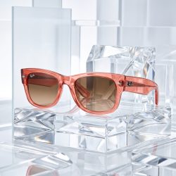 Brightening_translucent_image_ba…_2K_202608061707 (1)