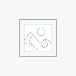 Mondaine